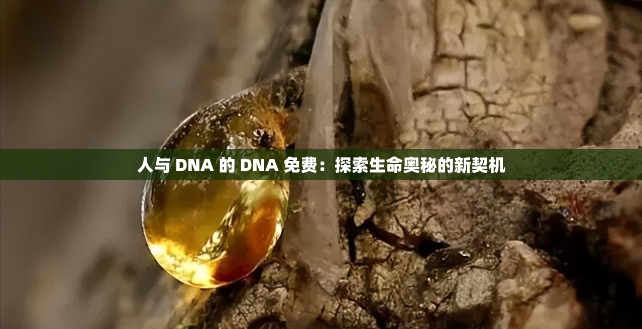 人与 DNA 的 DNA 免费：探索生命奥秘的新契机