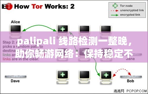 palipali 线路检测一整晚，助你畅游网络：保持稳定不断线