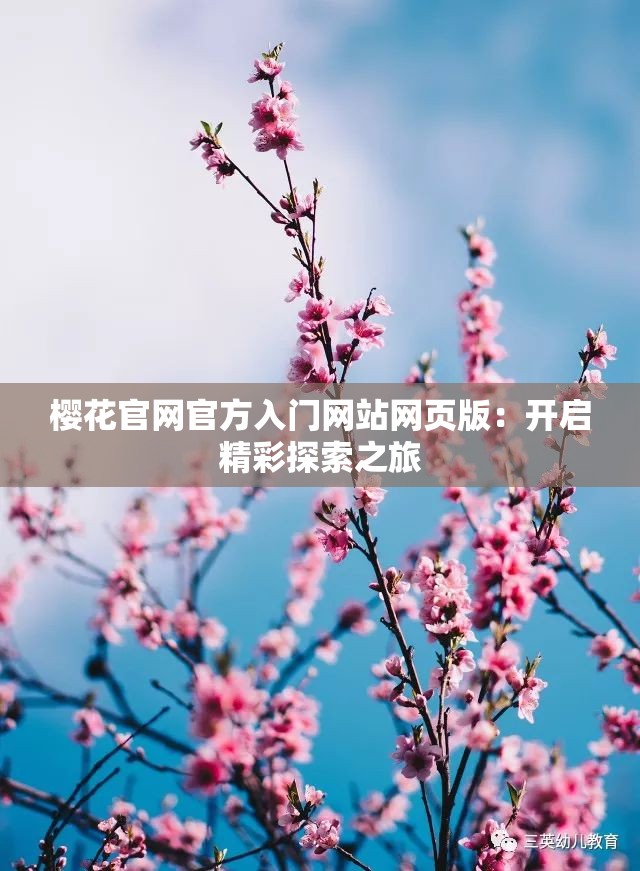 樱花官网官方入门网站网页版：开启精彩探索之旅