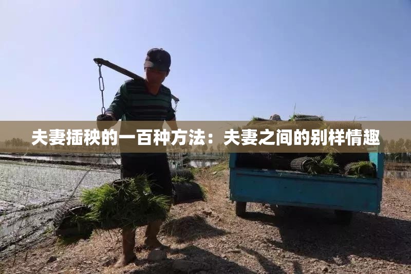 夫妻插秧的一百种方法：夫妻之间的别样情趣