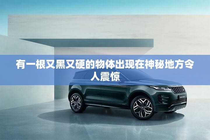有一根又黑又硬的物体出现在神秘地方令人震惊