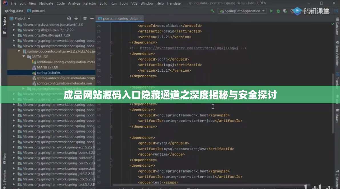 成品网站源码入口隐藏通道之深度揭秘与安全探讨