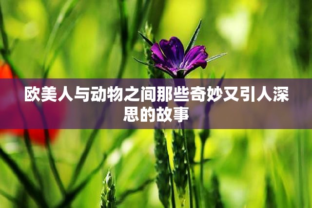 欧美人与动物之间那些奇妙又引人深思的故事