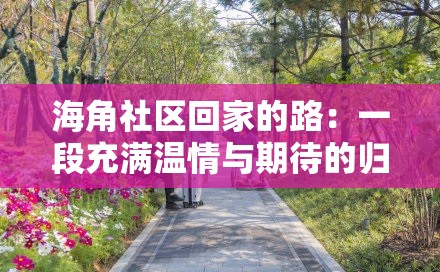 海角社区回家的路：一段充满温情与期待的归程