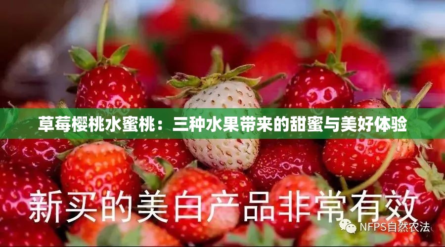 草莓樱桃水蜜桃：三种水果带来的甜蜜与美好体验