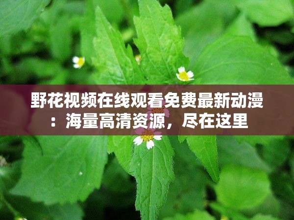 野花视频在线观看免费最新动漫：海量高清资源，尽在这里