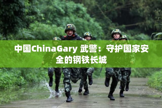 中国ChinaGary 武警：守护国家安全的钢铁长城
