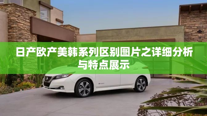 日产欧产美韩系列区别图片之详细分析与特点展示