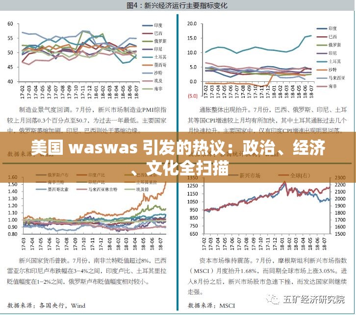 美国 waswas 引发的热议：政治、经济、文化全扫描