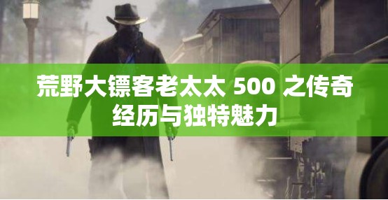 荒野大镖客老太太 500 之传奇经历与独特魅力