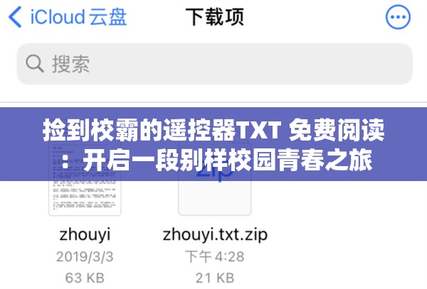 捡到校霸的遥控器TXT 免费阅读：开启一段别样校园青春之旅