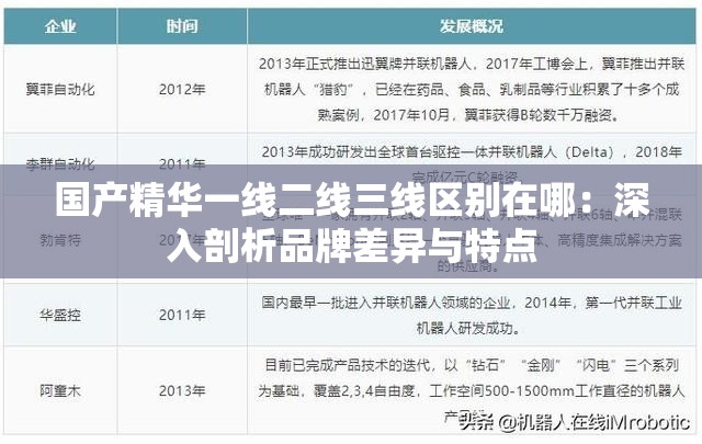 国产精华一线二线三线区别在哪：深入剖析品牌差异与特点