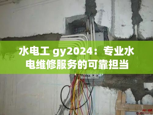 水电工 gy2024：专业水电维修服务的可靠担当