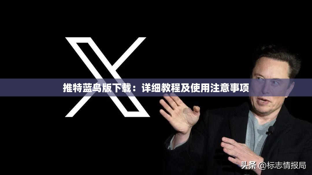 推特蓝鸟版下载：详细教程及使用注意事项