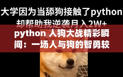python 人狗大战精彩瞬间：一场人与狗的智勇较量