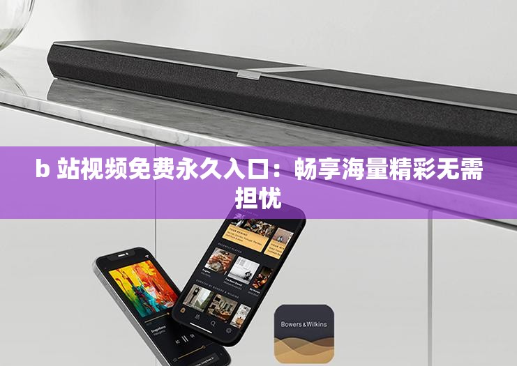 b 站视频免费永久入口：畅享海量精彩无需担忧