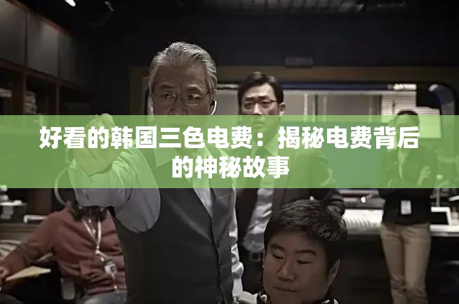 好看的韩国三色电费：揭秘电费背后的神秘故事