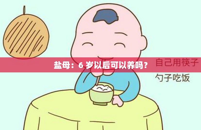 盐母：6 岁以后可以养吗？