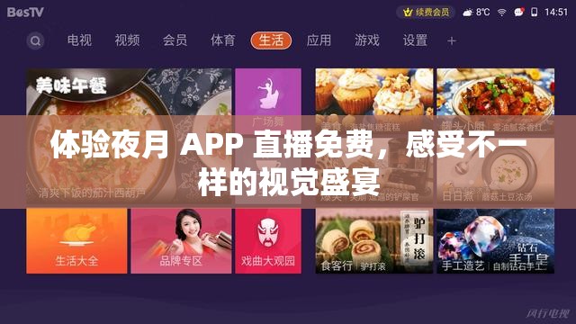 体验夜月 APP 直播免费，感受不一样的视觉盛宴