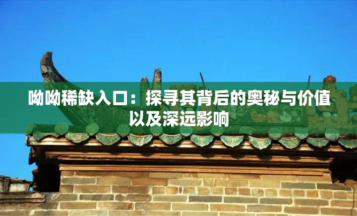 呦呦稀缺入口：探寻其背后的奥秘与价值以及深远影响