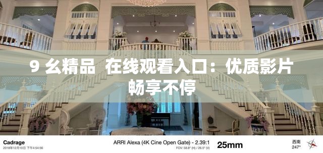 9 幺精品  在线观看入口：优质影片畅享不停