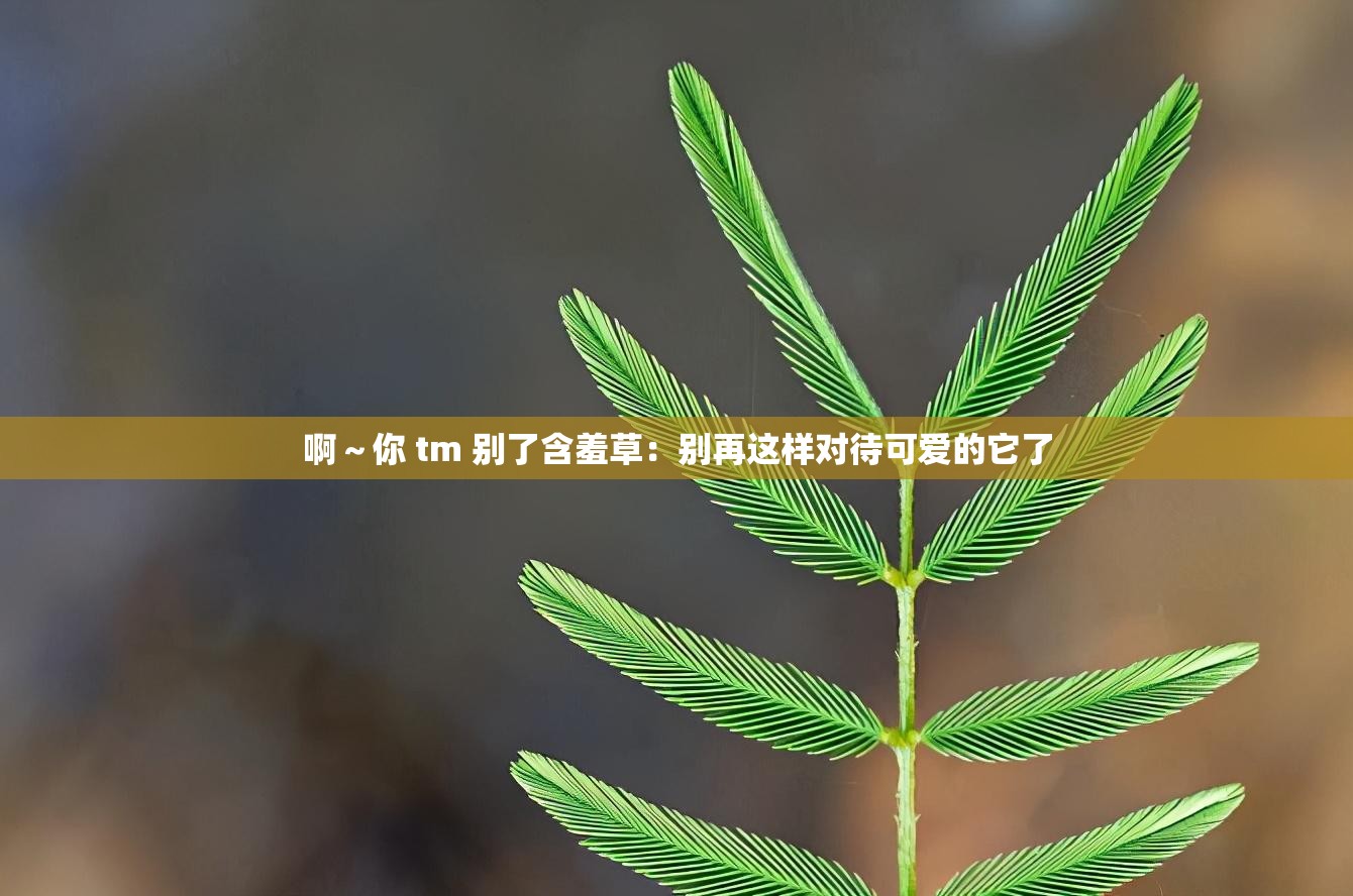 啊～你 tm 别了含羞草：别再这样对待可爱的它了