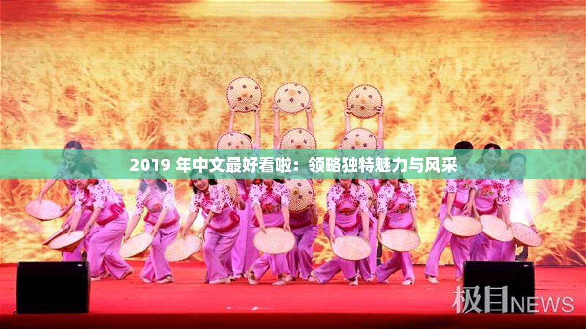 2019 年中文最好看啦：领略独特魅力与风采