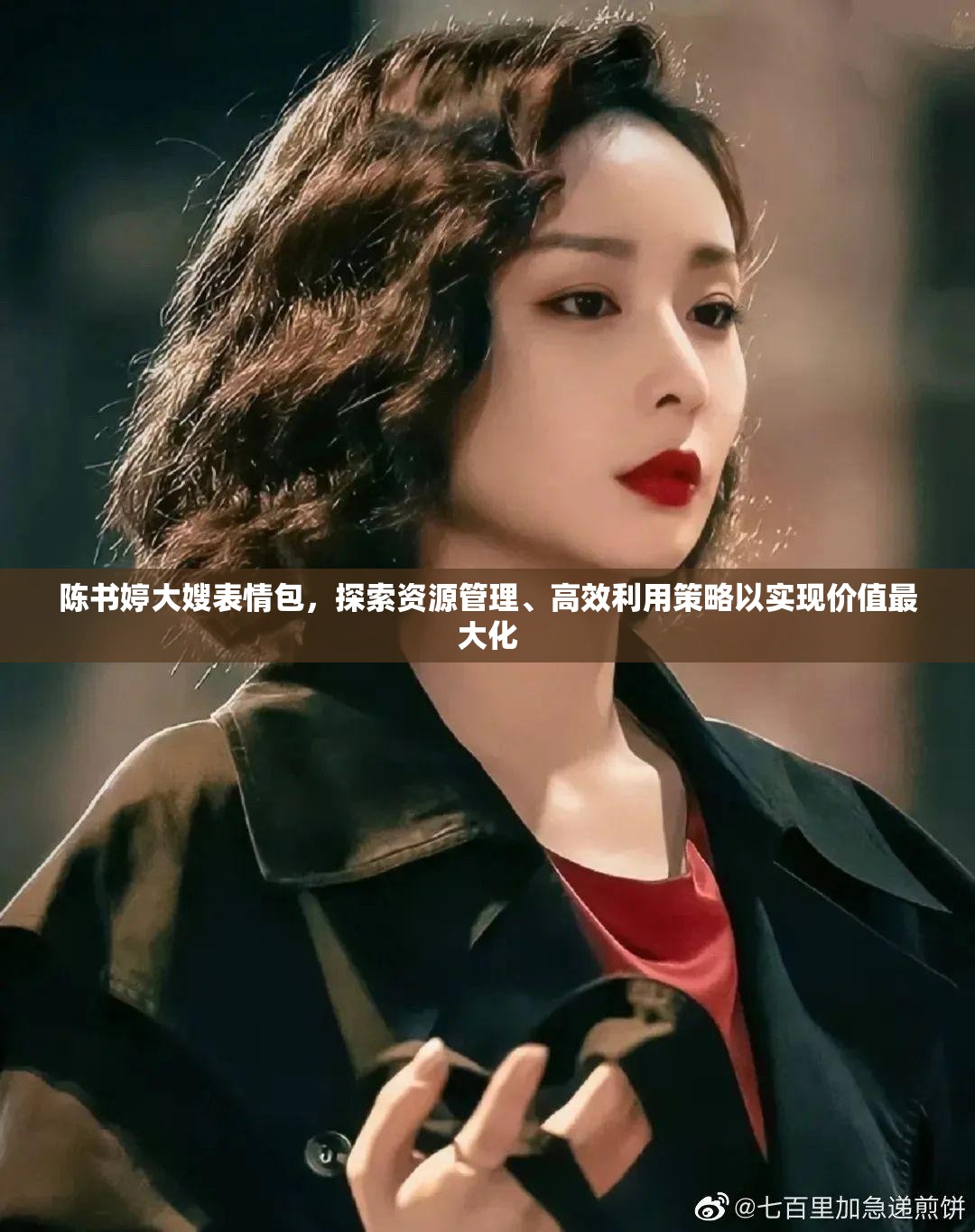 陈书婷大嫂表情包，探索资源管理、高效利用策略以实现价值最大化