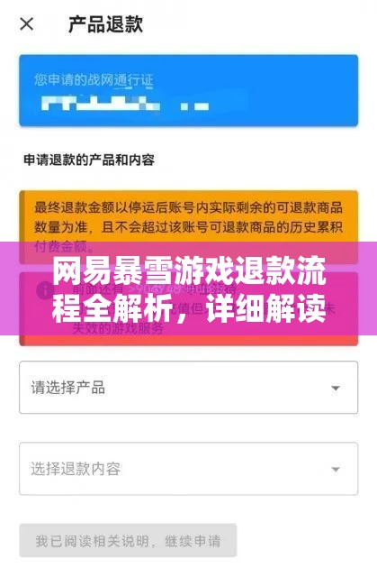 网易暴雪游戏退款流程全解析，详细解读退款政策与操作指南
