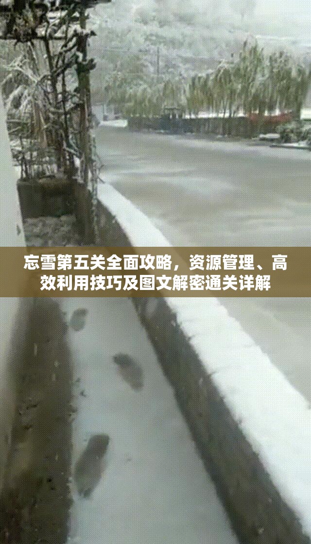 忘雪第五关全面攻略，资源管理、高效利用技巧及图文解密通关详解