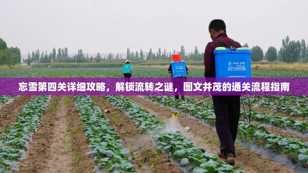 忘雪第四关详细攻略，解锁流转之谜，图文并茂的通关流程指南