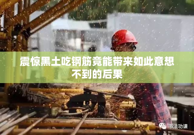 震惊黑土吃钢筋竟能带来如此意想不到的后果