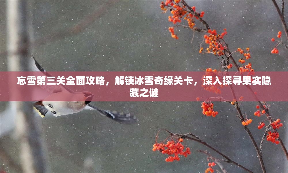 忘雪第三关全面攻略，解锁冰雪奇缘关卡，深入探寻果实隐藏之谜