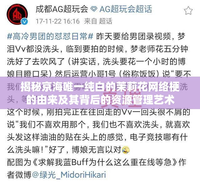 揭秘京海唯一纯白的茉莉花网络梗的由来及其背后的资源管理艺术