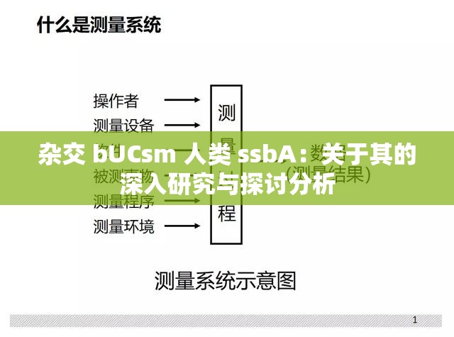 杂交 bUCsm 人类 ssbA：关于其的深入研究与探讨分析