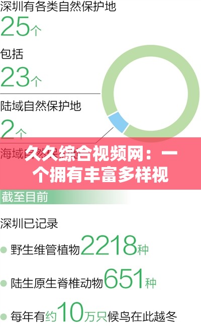 久久综合视频网：一个拥有丰富多样视频资源的平台