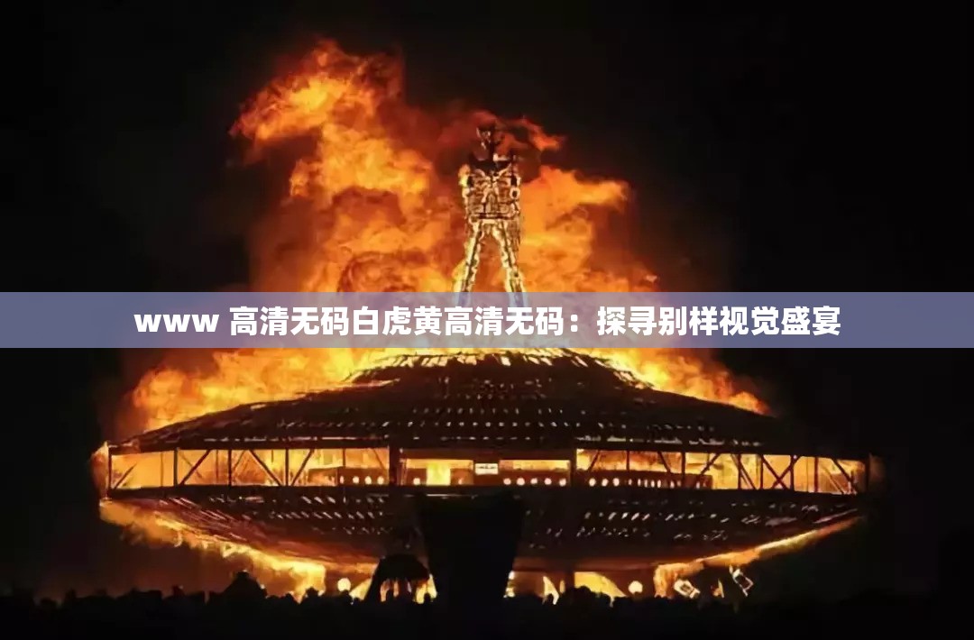 www 高清无码白虎黄高清无码：探寻别样视觉盛宴