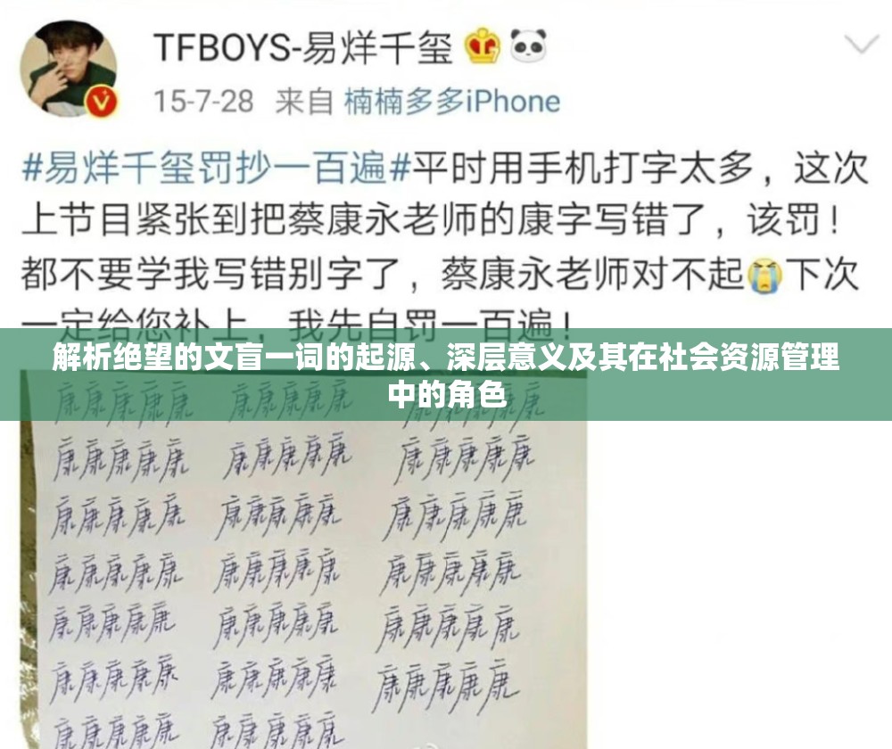 解析绝望的文盲一词的起源、深层意义及其在社会资源管理中的角色