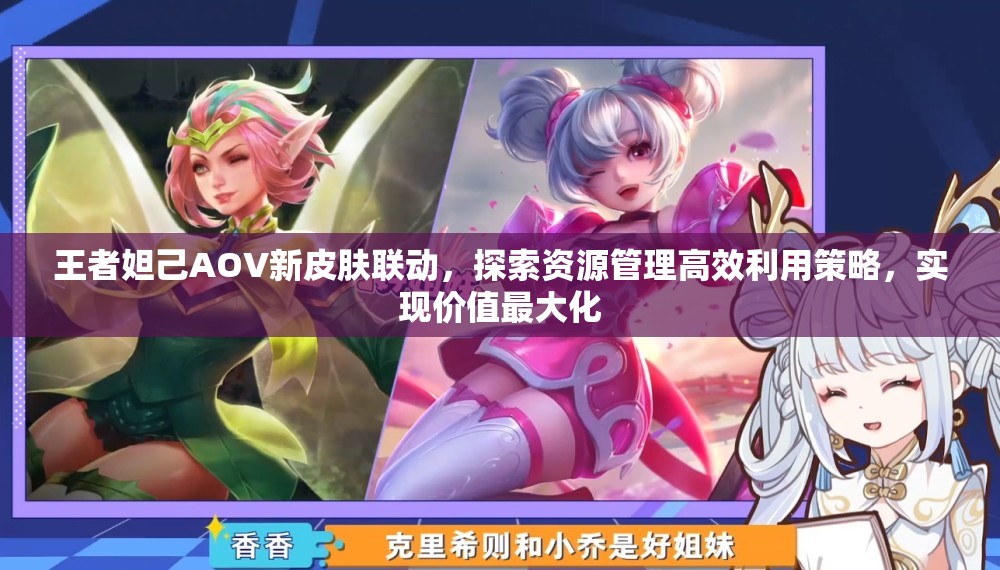王者妲己AOV新皮肤联动，探索资源管理高效利用策略，实现价值最大化