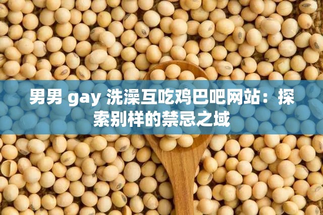 男男 gay 洗澡互吃鸡巴吧网站：探索别样的禁忌之域