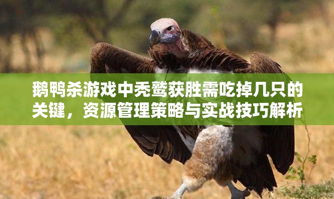 鹅鸭杀游戏中秃鹫获胜需吃掉几只的关键，资源管理策略与实战技巧解析