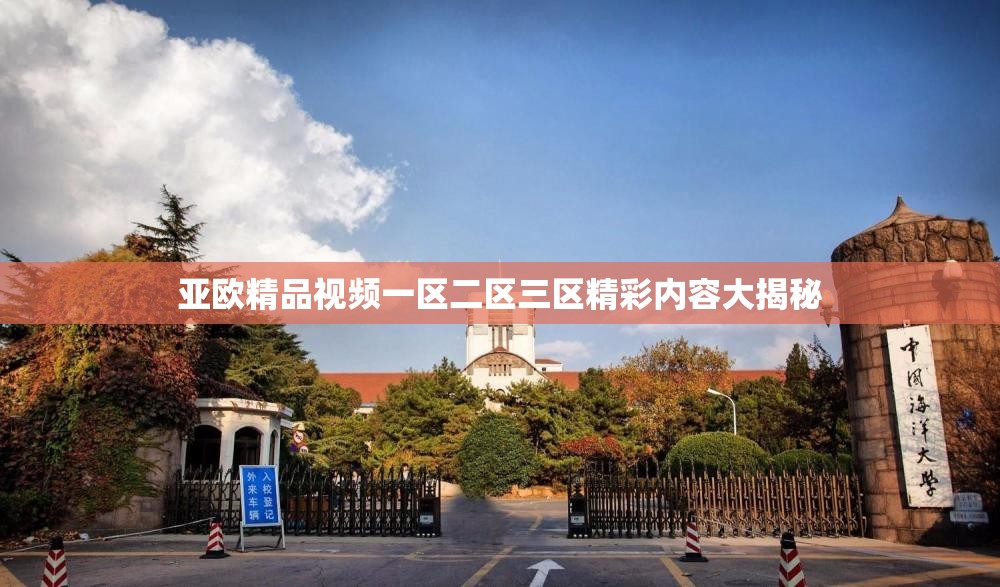 亚欧精品视频一区二区三区精彩内容大揭秘