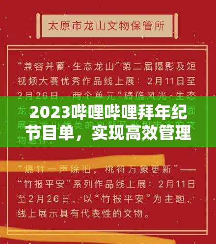 2023哔哩哔哩拜年纪节目单，实现高效管理与价值最大化的策略探索