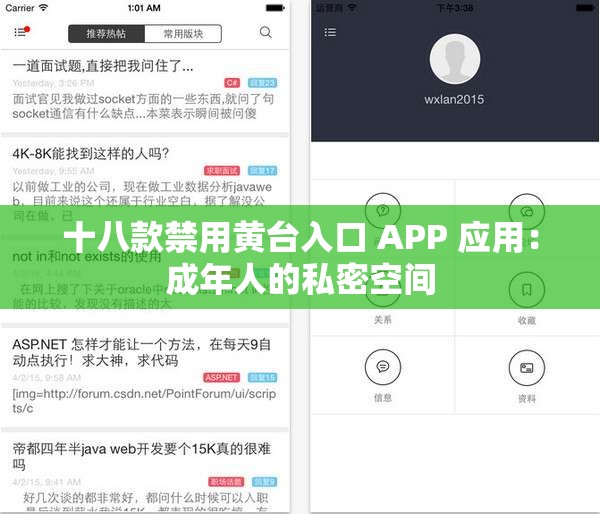 十八款禁用黄台入口 APP 应用：成年人的私密空间