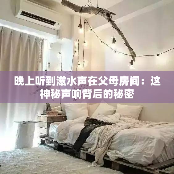 晚上听到滋水声在父母房间：这神秘声响背后的秘密