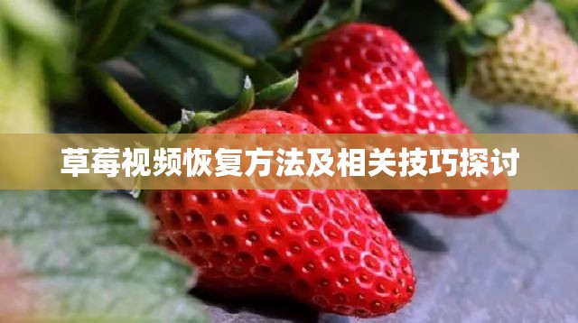 草莓视频恢复方法及相关技巧探讨