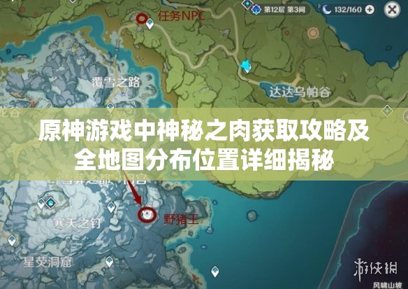 原神游戏中神秘之肉获取攻略及全地图分布位置详细揭秘