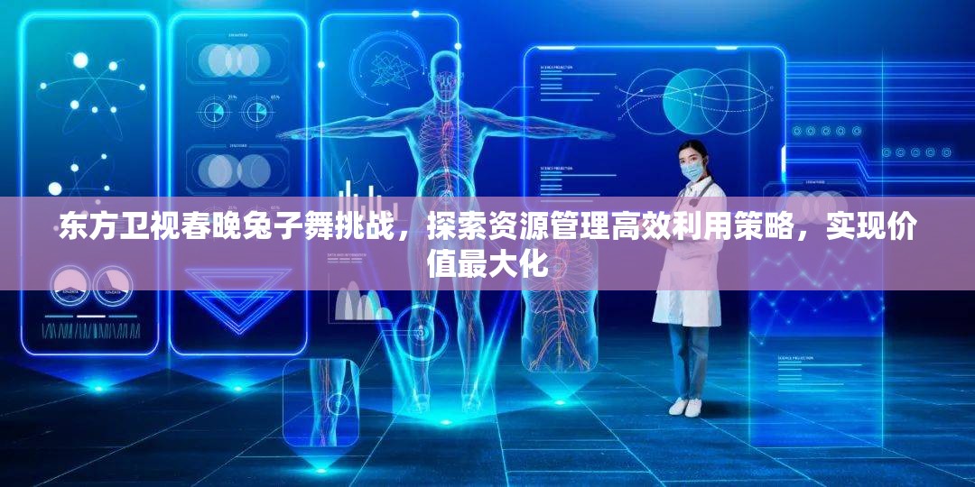 东方卫视春晚兔子舞挑战，探索资源管理高效利用策略，实现价值最大化