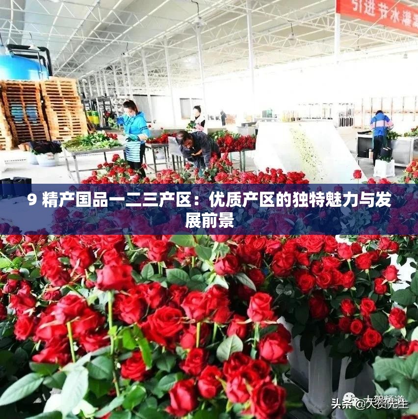 9 精产国品一二三产区：优质产区的独特魅力与发展前景