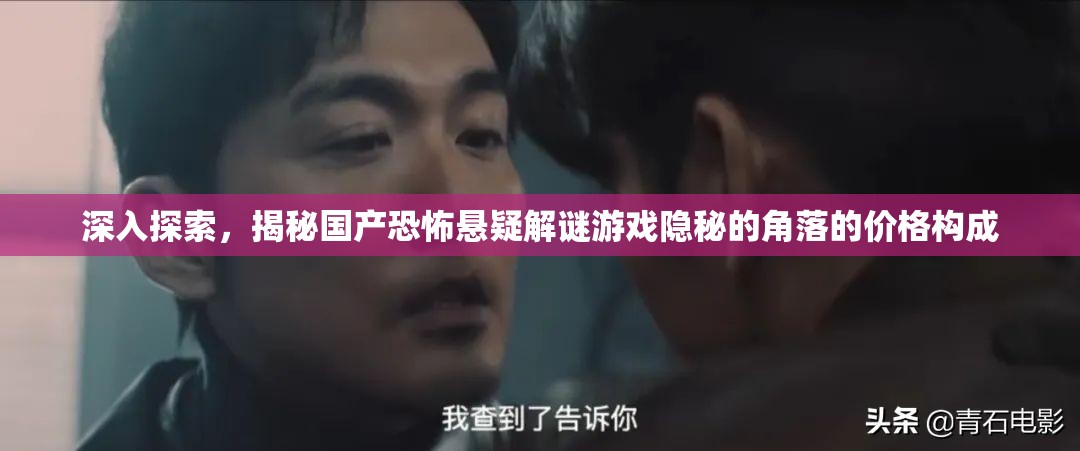 深入探索，揭秘国产恐怖悬疑解谜游戏隐秘的角落的价格构成